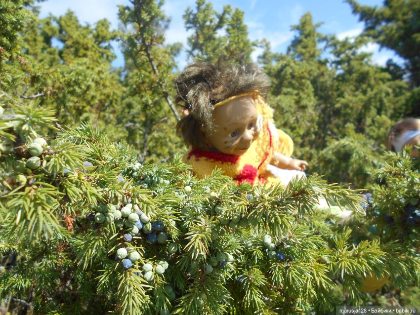 Вылазка на остров Вормси. Краткий отчёт