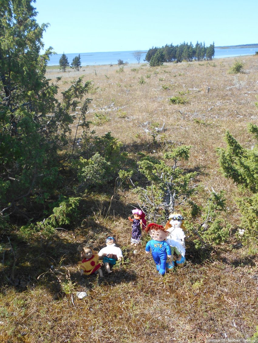 Вылазка на остров Вормси. Краткий отчёт (фото 9)