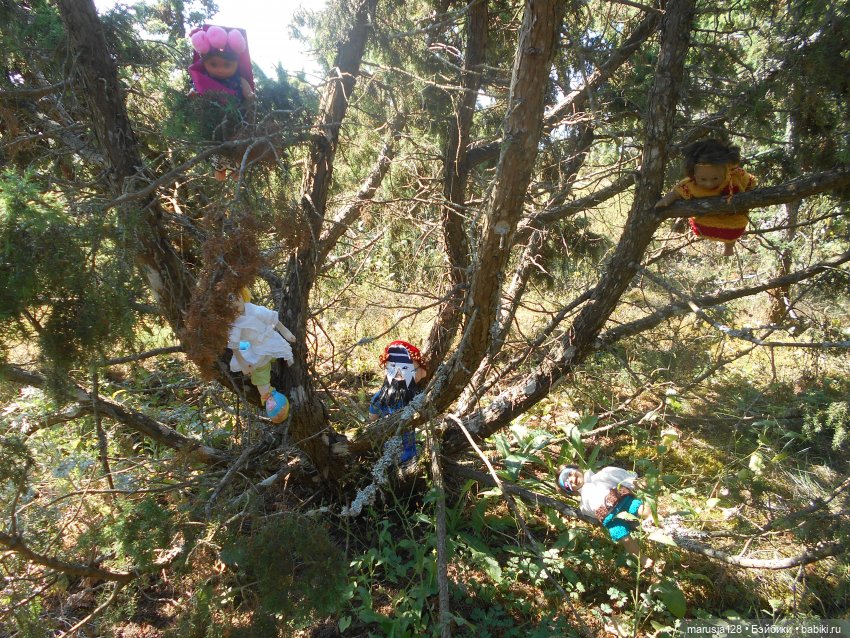 Вылазка на остров Вормси. Краткий отчёт (фото 4)