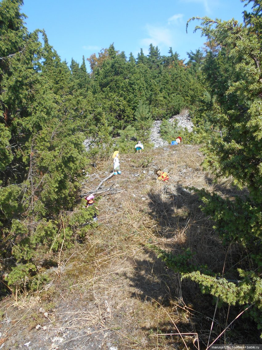 Вылазка на остров Вормси. Краткий отчёт