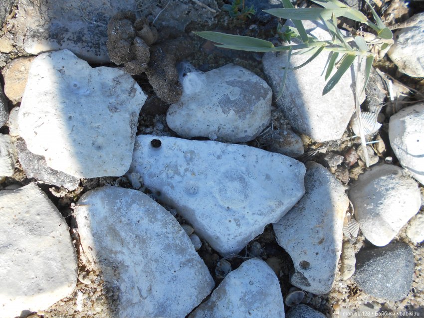 Вылазка на остров Вормси. Краткий отчёт