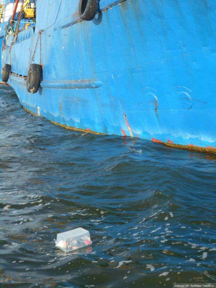 Великий Карнавал 2021: Походы и соревнования