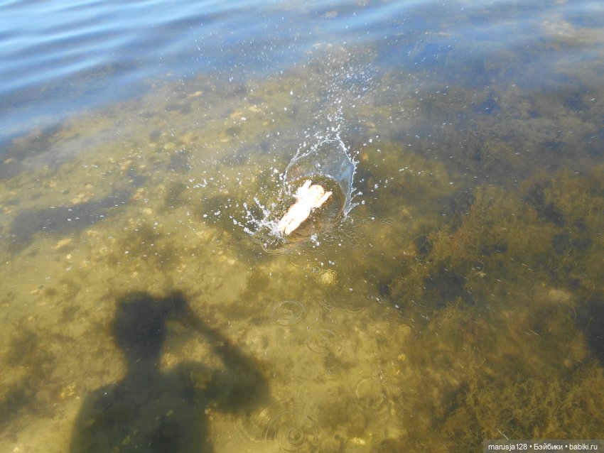 Вылазка на остров Вормси. Краткий отчёт