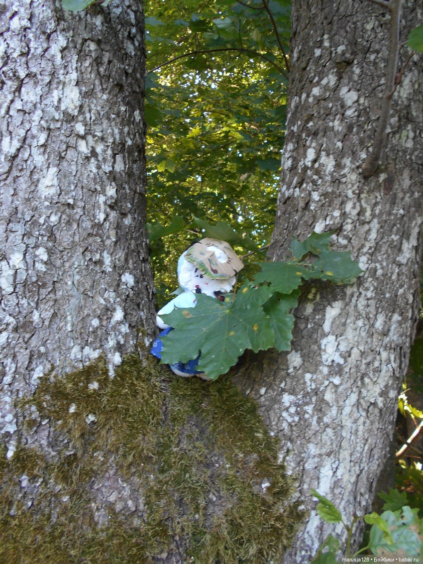 Великий Карнавал 2021: Походы и соревнования