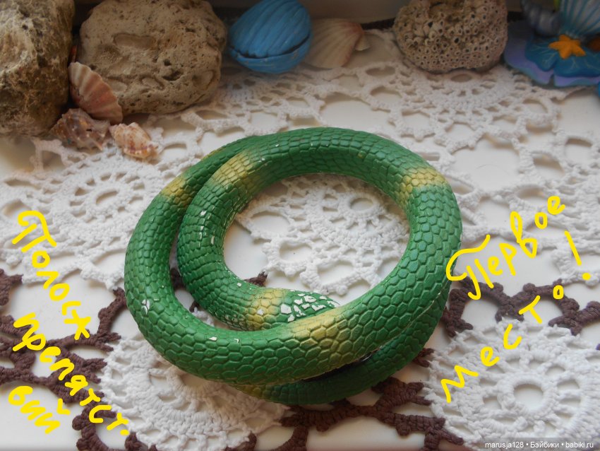 Великий Карнавал 2021: Походы и соревнования