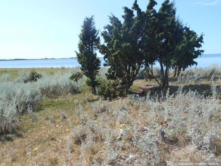 Вылазка на остров Вормси. Краткий отчёт