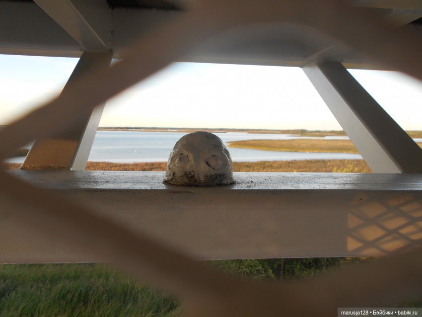 Великий Карнавал 2021: Походы и соревнования