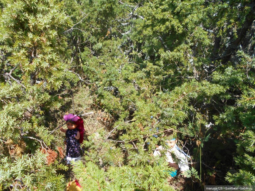 Вылазка на остров Вормси. Краткий отчёт