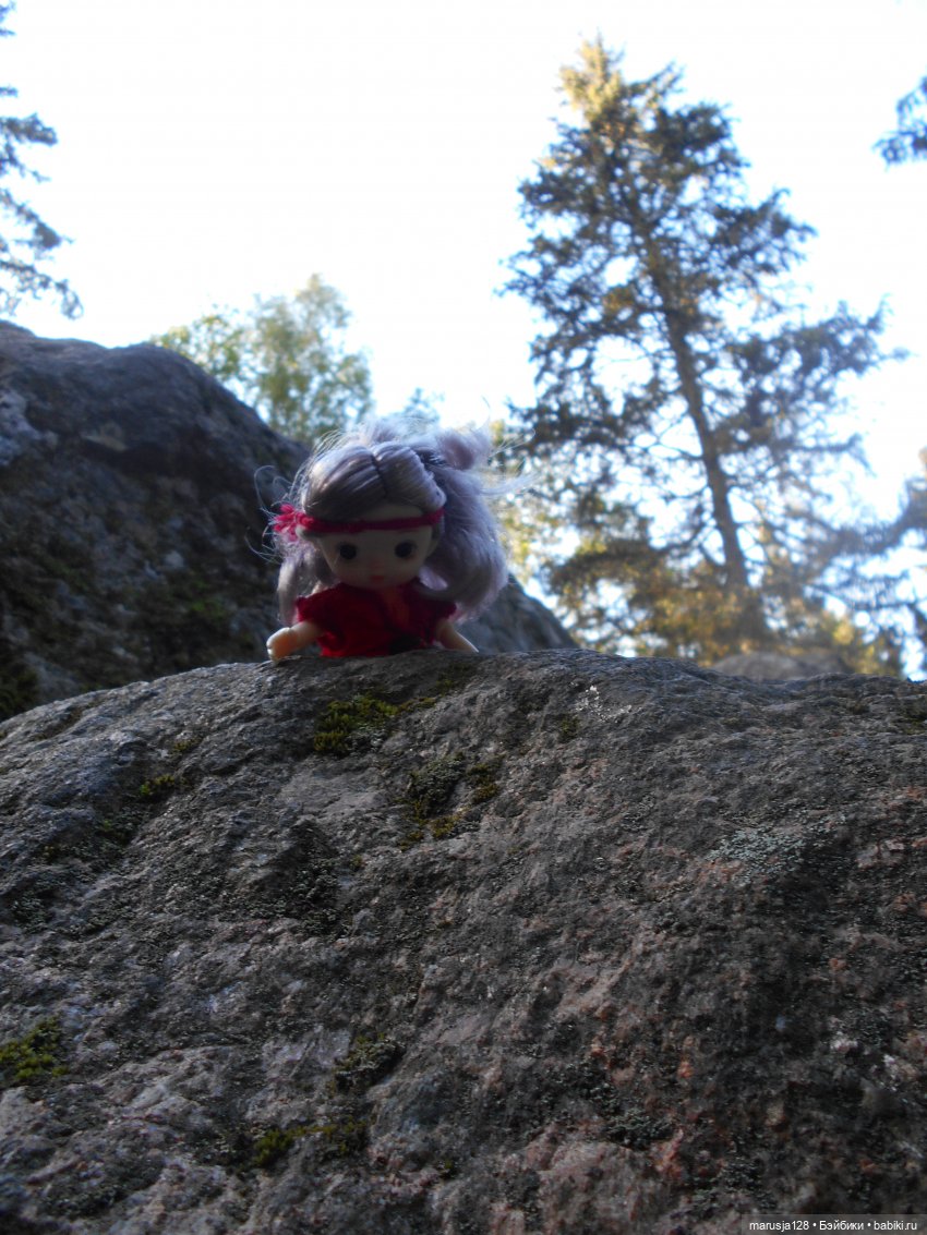 Летние НовомакНовости — Интересное обо всем: поздравления