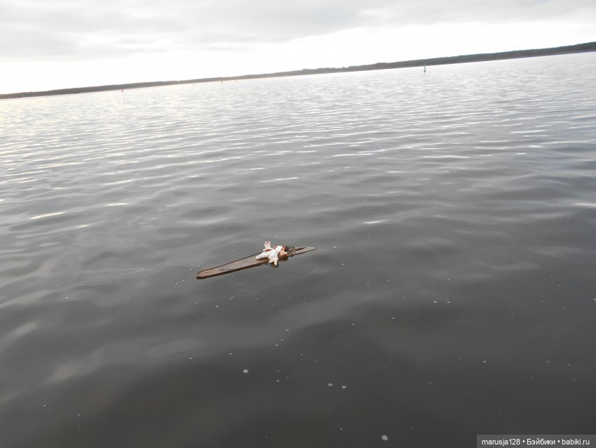 Летние НовомакНовости — Интересное обо всем: поздравления
