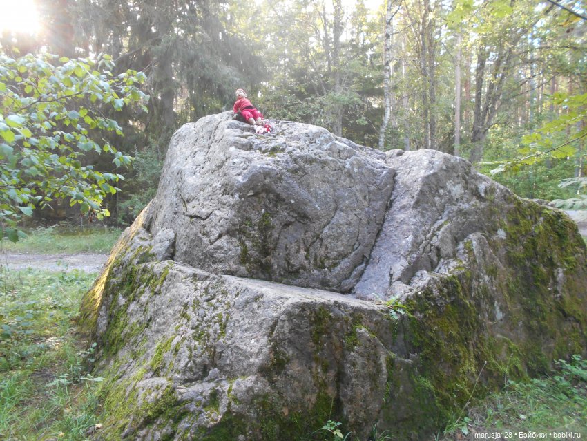 Летние НовомакНовости — Интересное обо всем: поздравления