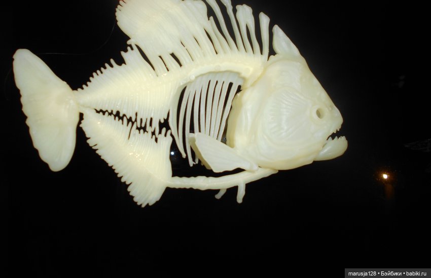 Летние НовомакНовости — Интересное обо всем: поздравления