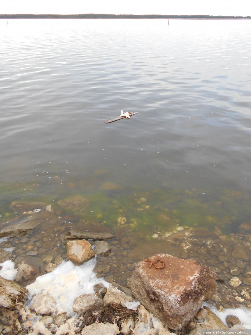 Летние НовомакНовости — Интересное обо всем: поздравления