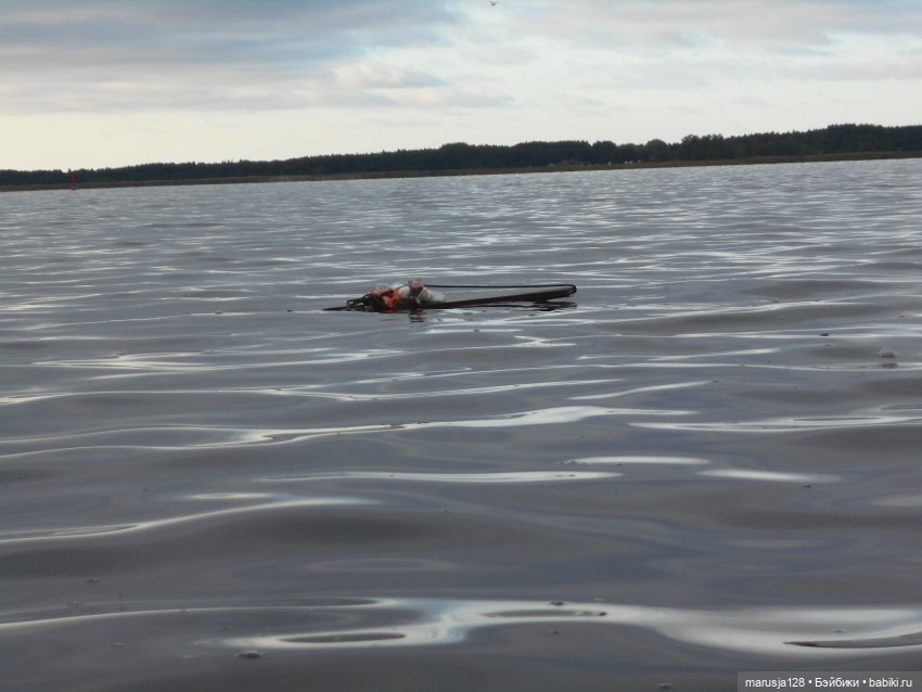 Летние НовомакНовости — Интересное обо всем: поздравления