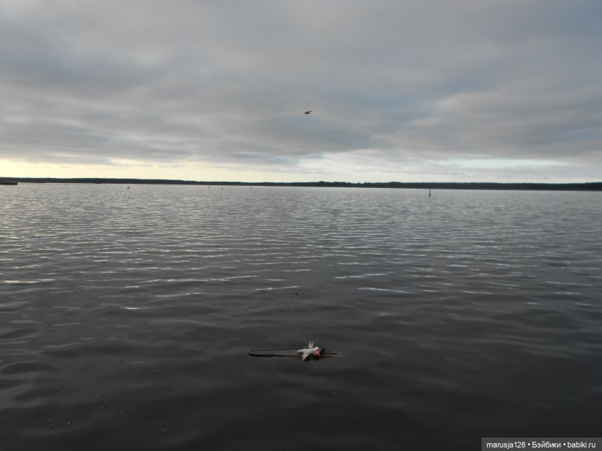 Летние НовомакНовости — Интересное обо всем: поздравления