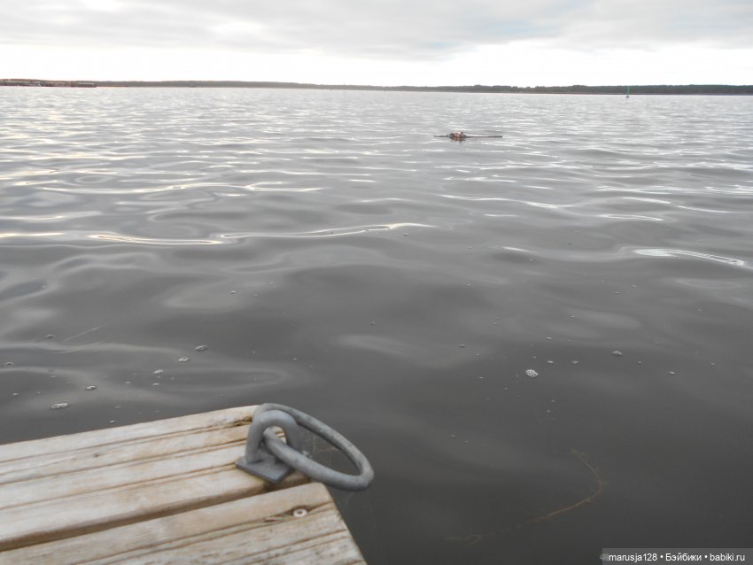 Летние НовомакНовости — Интересное обо всем: поздравления