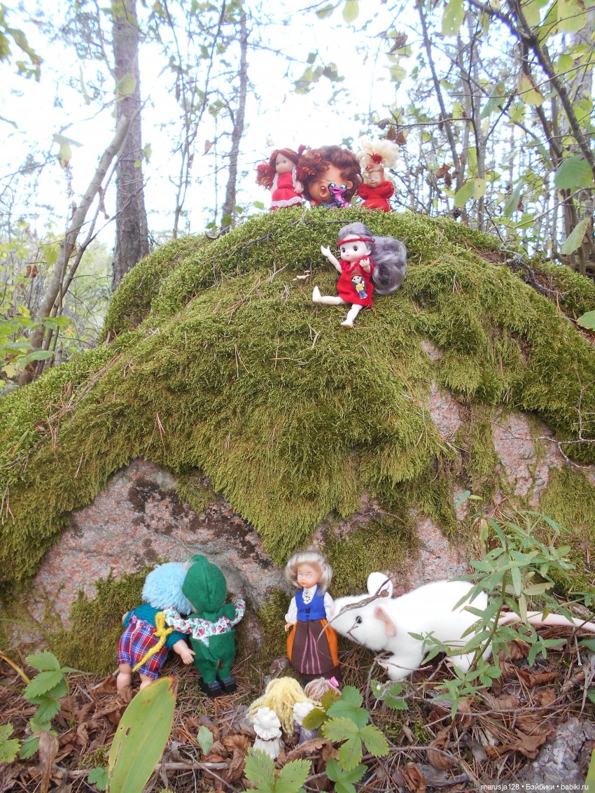 Летние НовомакНовости — Интересное обо всем: поздравления