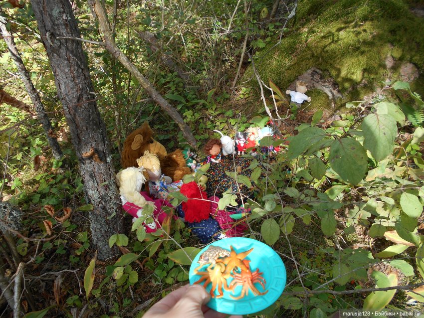 Летние НовомакНовости — Интересное обо всем: поздравления