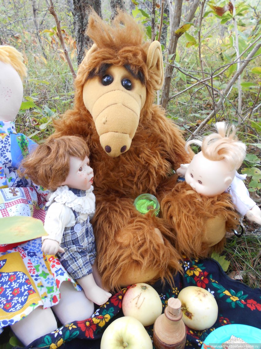 Летние НовомакНовости — Интересное обо всем: поздравления