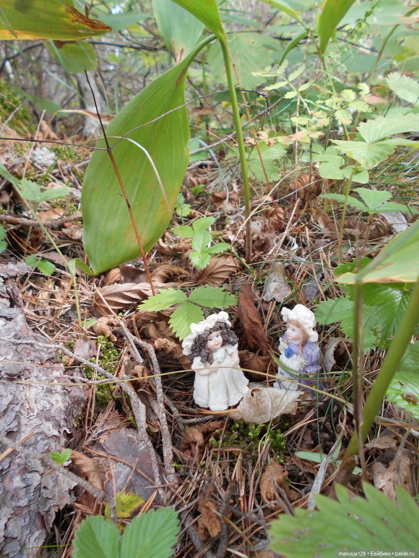 Летние НовомакНовости — Интересное обо всем: поздравления