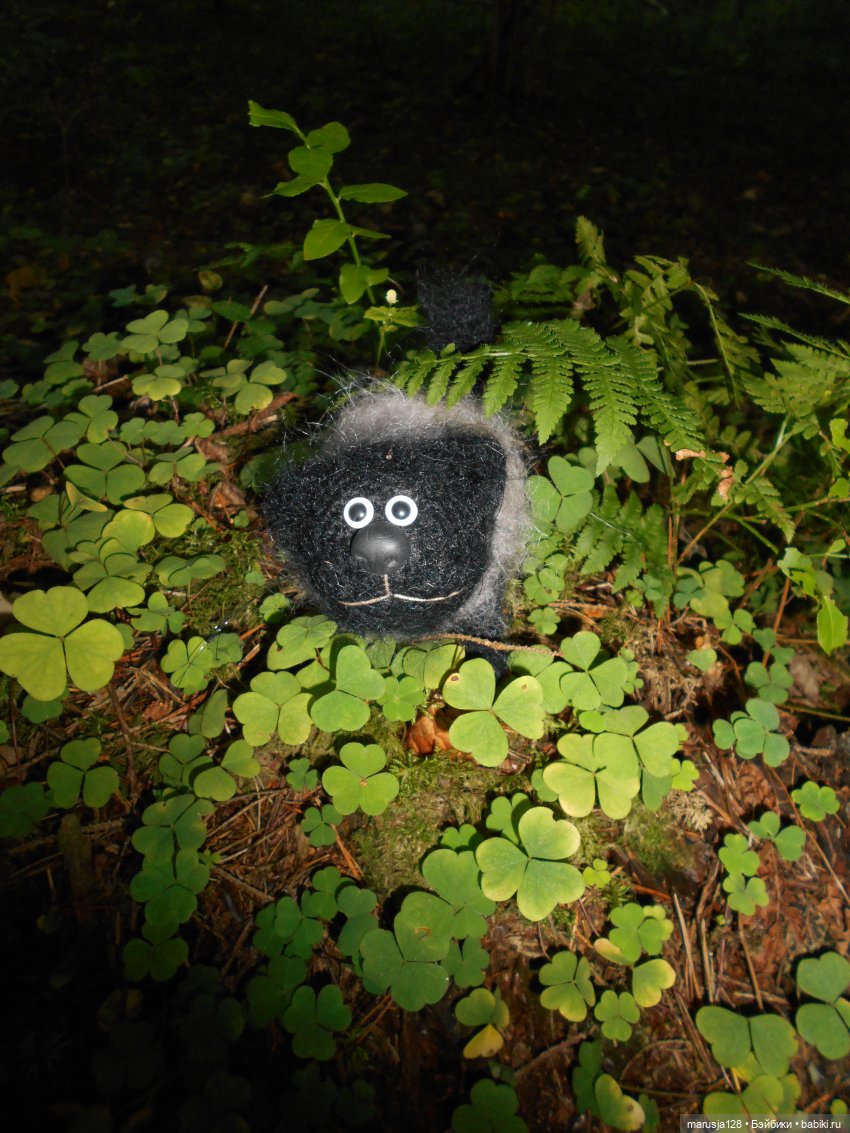 Украденные свадебные подарки, путешествие и розовый песок