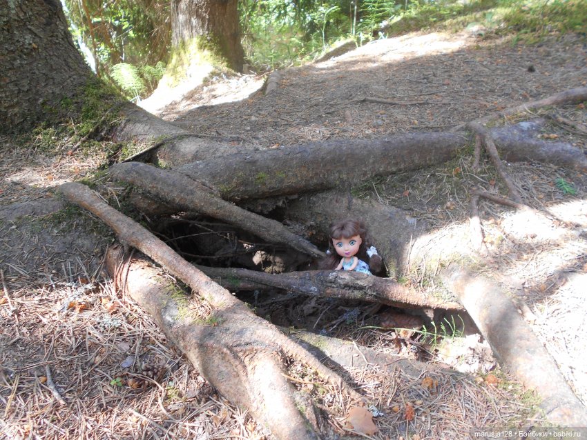 Украденные свадебные подарки, путешествие и розовый песок