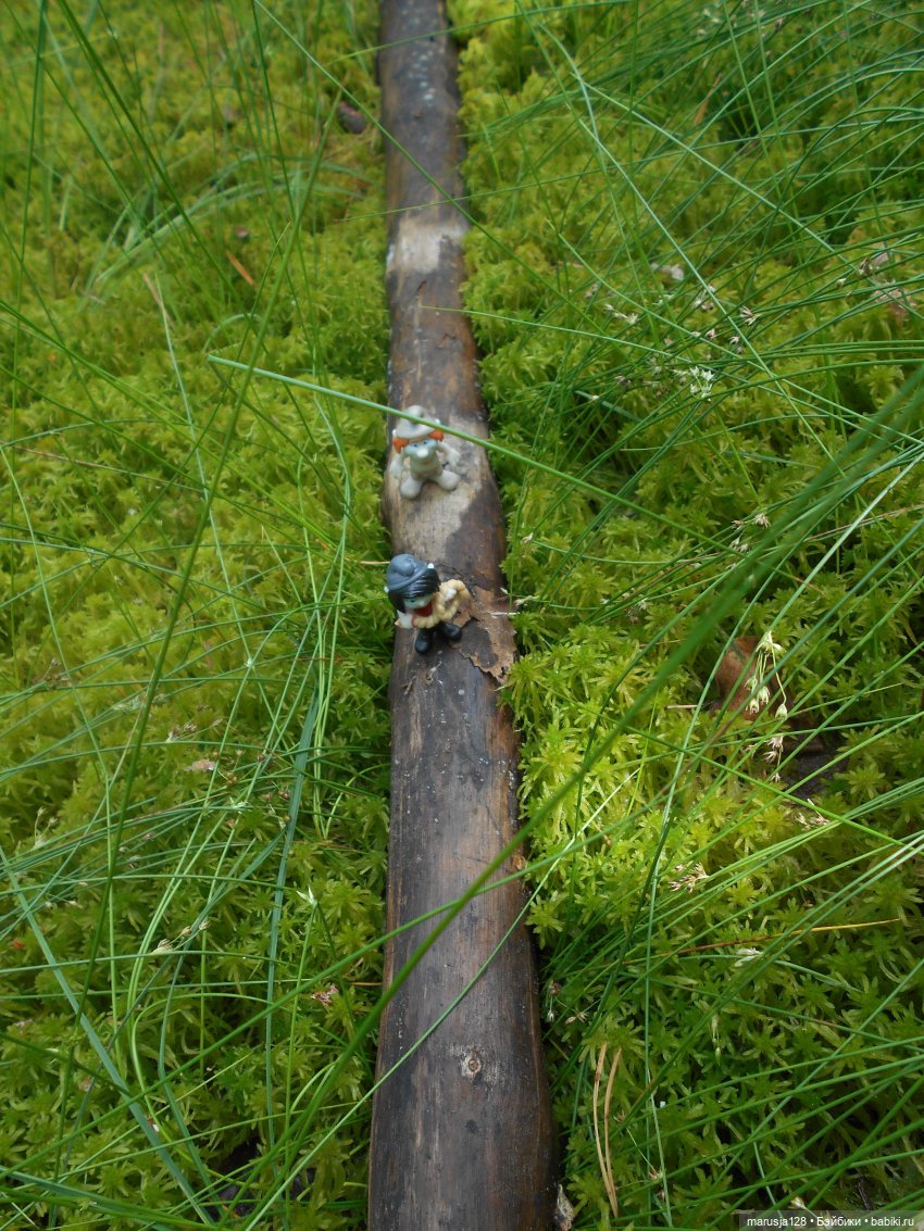 Украденные свадебные подарки, путешествие и розовый песок