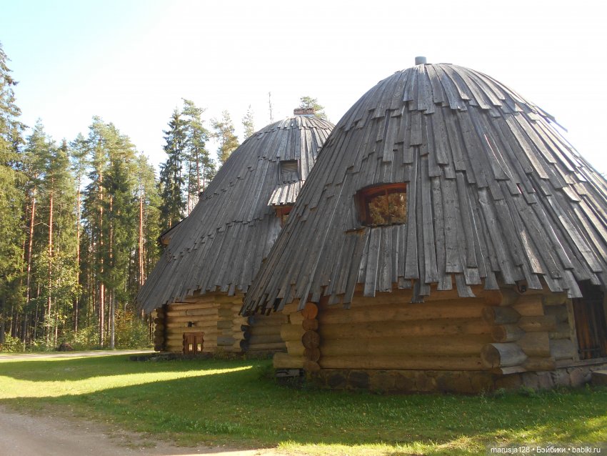 Поку, младшие родичи онтов (фото 5)