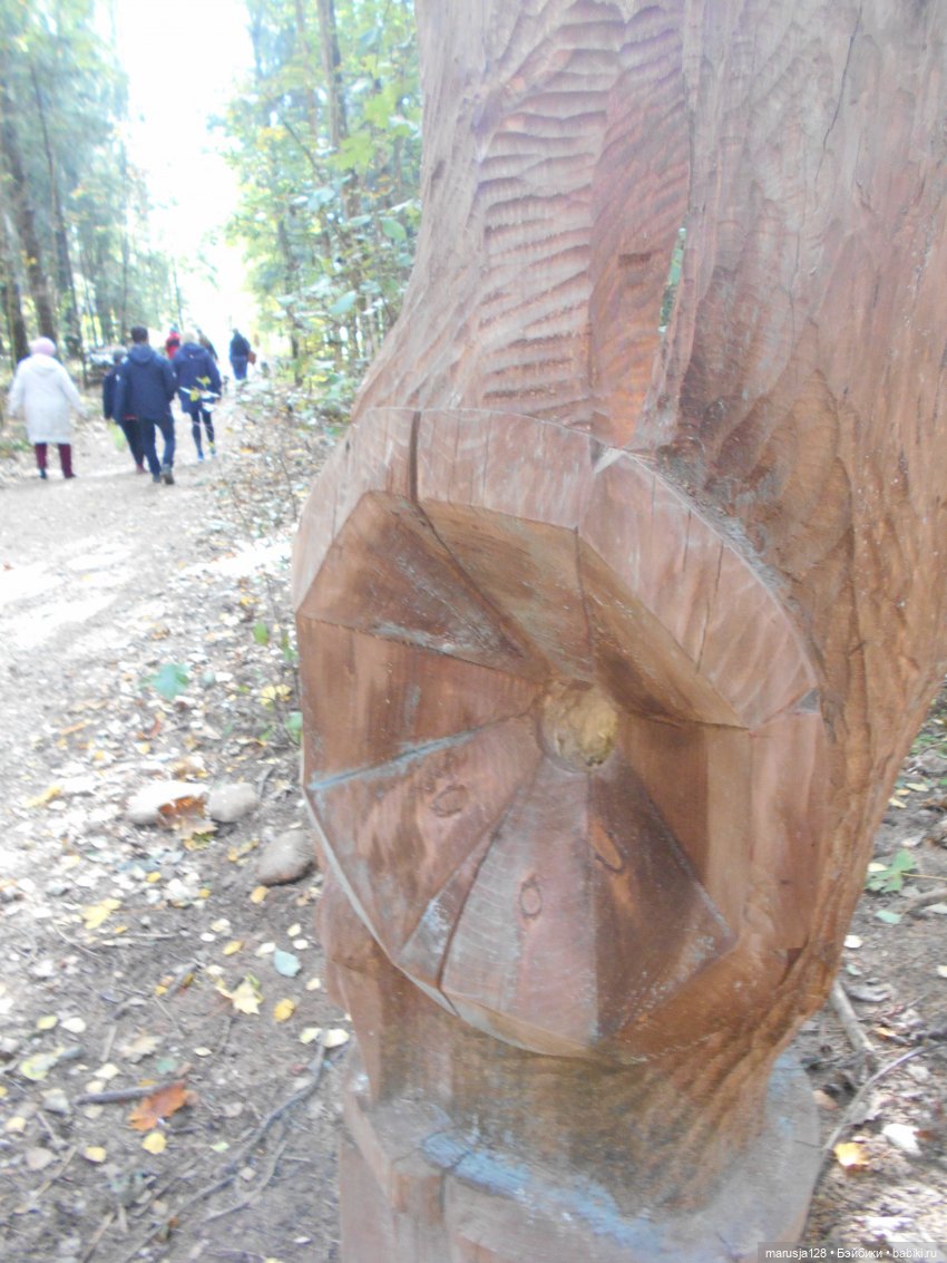 Поку, младшие родичи онтов