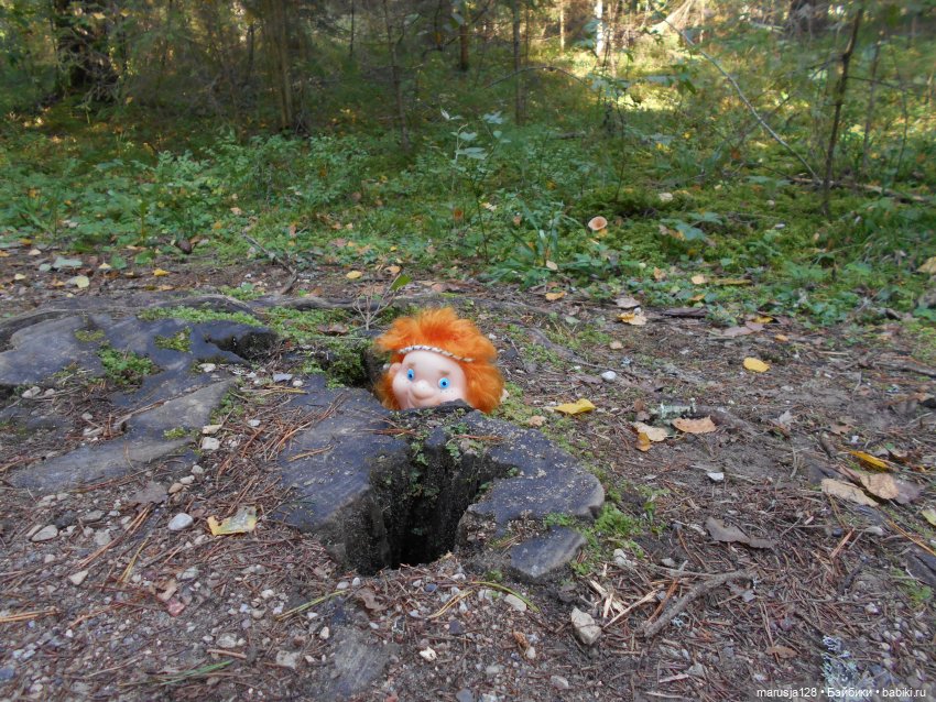 Украденные свадебные подарки, путешествие и розовый песок