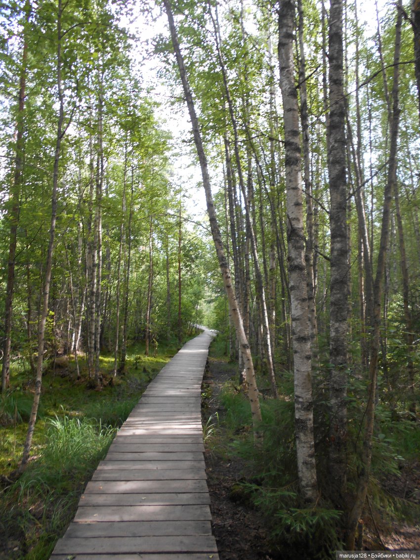 Украденные свадебные подарки, путешествие и розовый песок (фото 5)