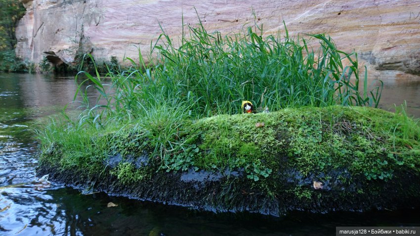 Украденные свадебные подарки, путешествие и розовый песок