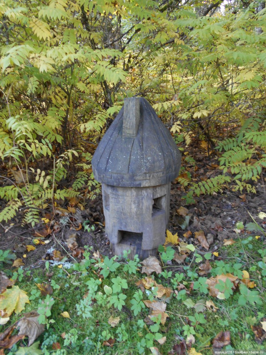 Поку, младшие родичи онтов