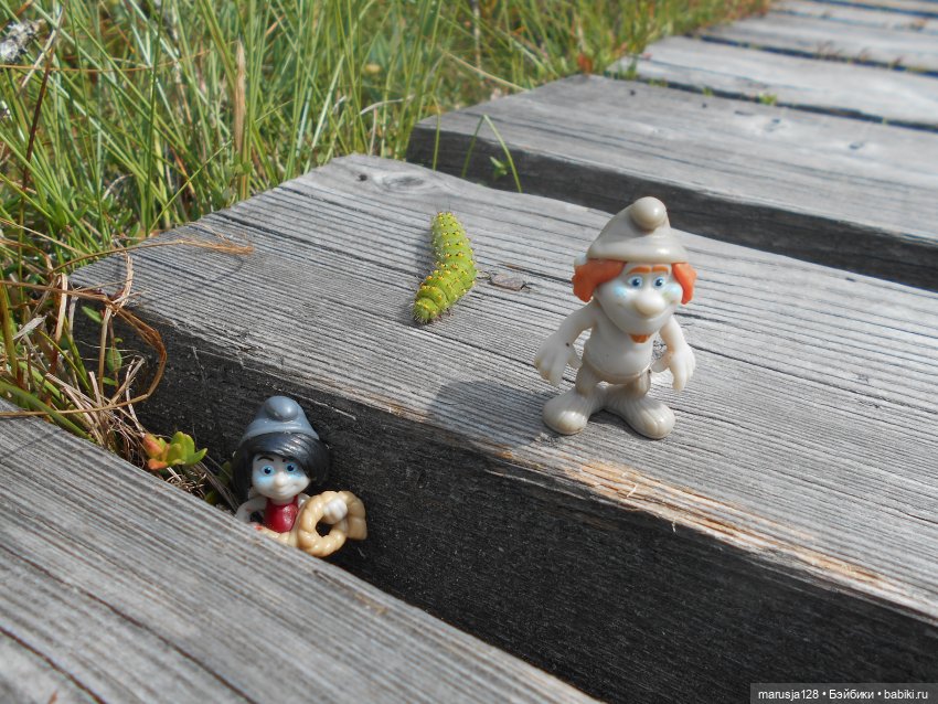 Украденные свадебные подарки, путешествие и розовый песок