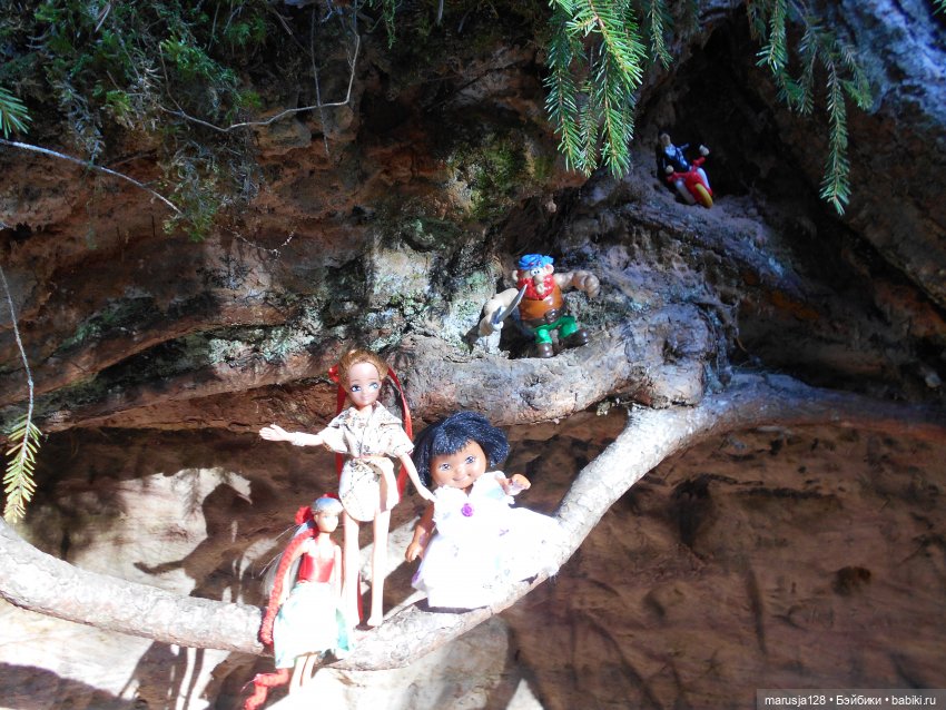 Украденные свадебные подарки, путешествие и розовый песок