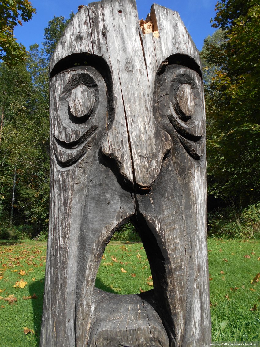 Поку, младшие родичи онтов