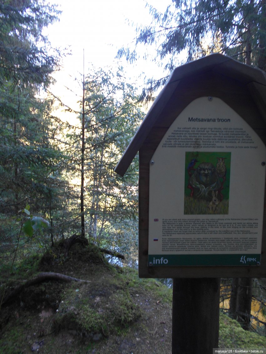 Украденные свадебные подарки, путешествие и розовый песок