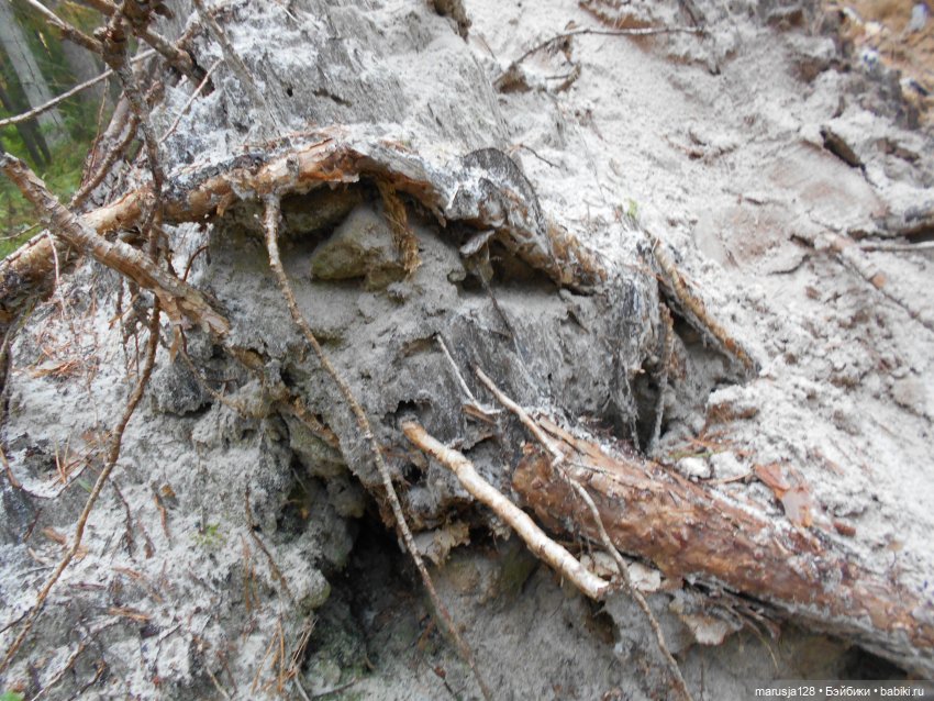 Украденные свадебные подарки, путешествие и розовый песок