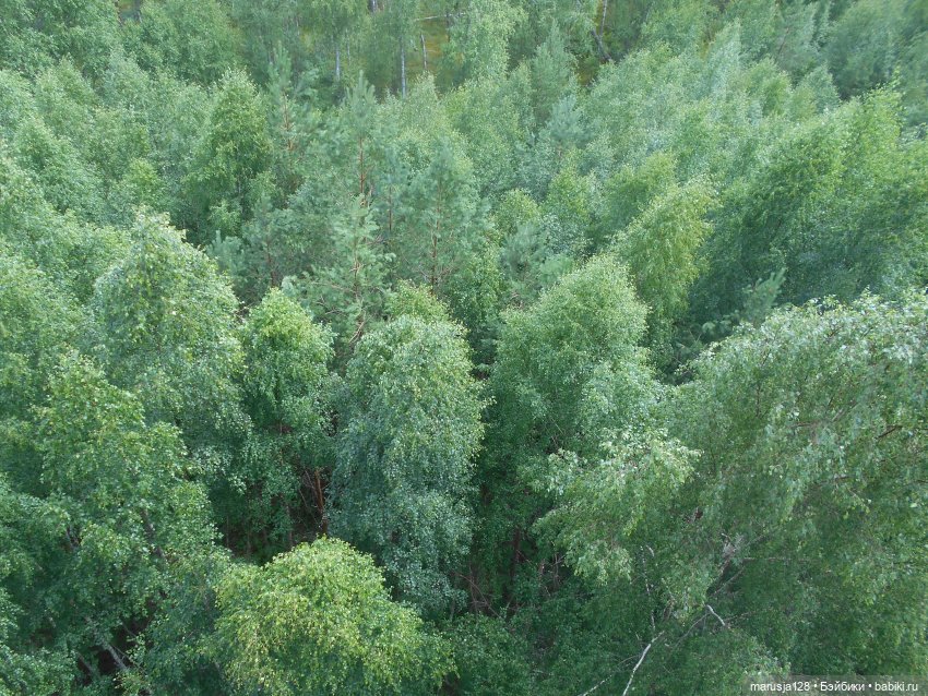 Украденные свадебные подарки, путешествие и розовый песок (фото 3)