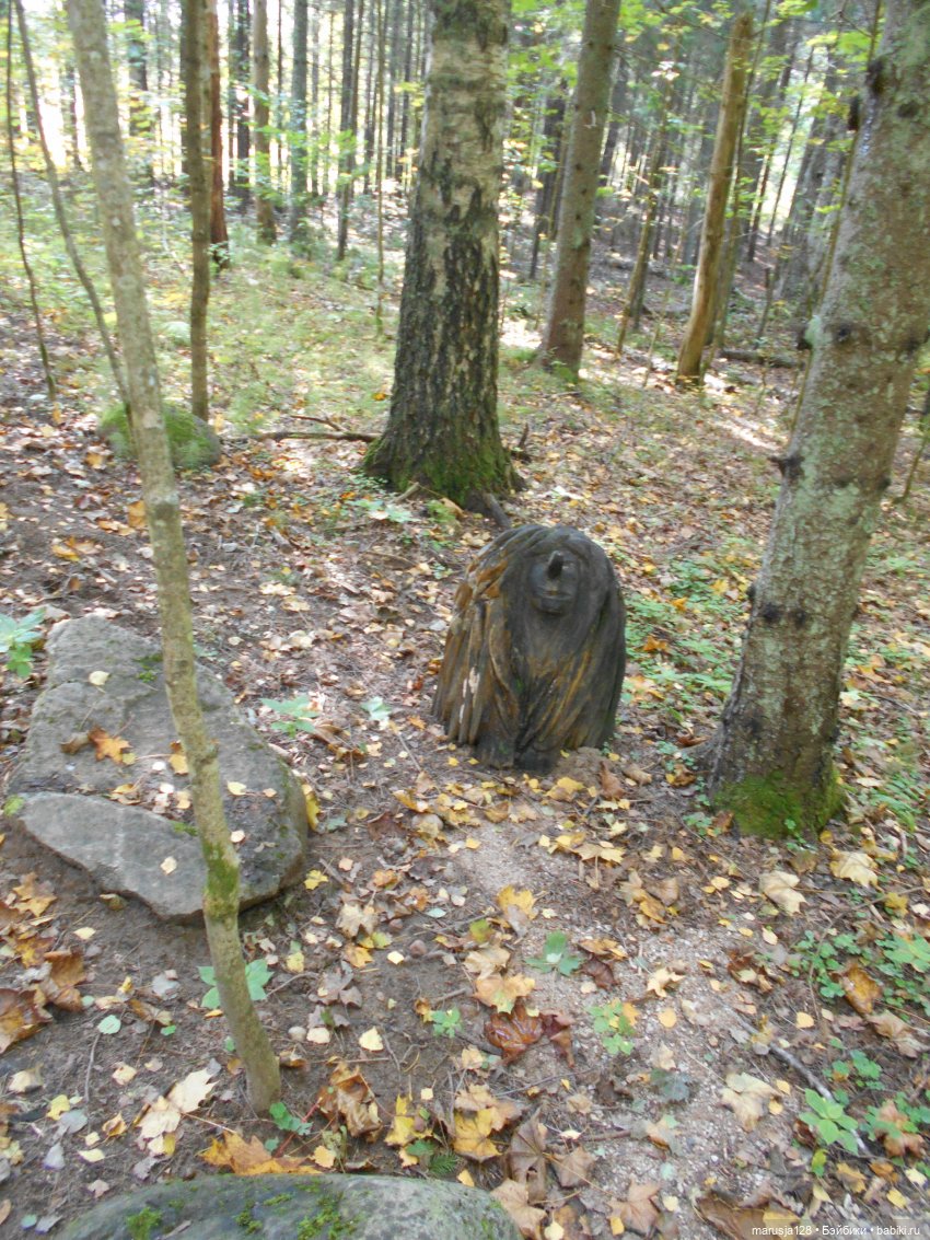 Поку, младшие родичи онтов