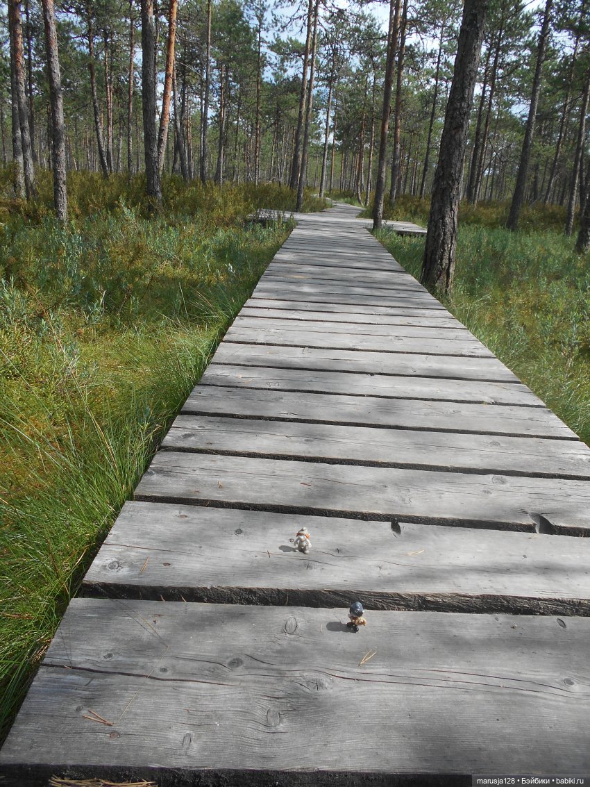 Украденные свадебные подарки, путешествие и розовый песок (фото 7)