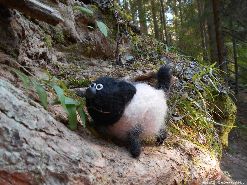 Украденные свадебные подарки, путешествие и розовый песок