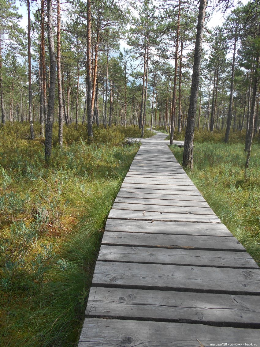 Украденные свадебные подарки, путешествие и розовый песок (фото 6)