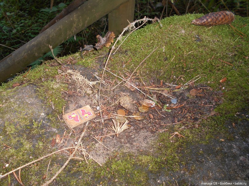 Украденные свадебные подарки, путешествие и розовый песок