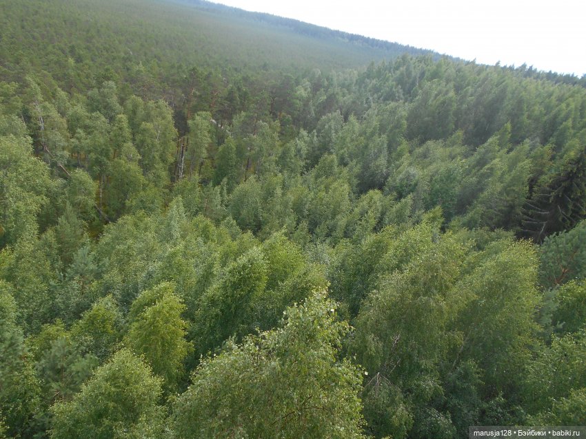 Украденные свадебные подарки, путешествие и розовый песок (фото 4)