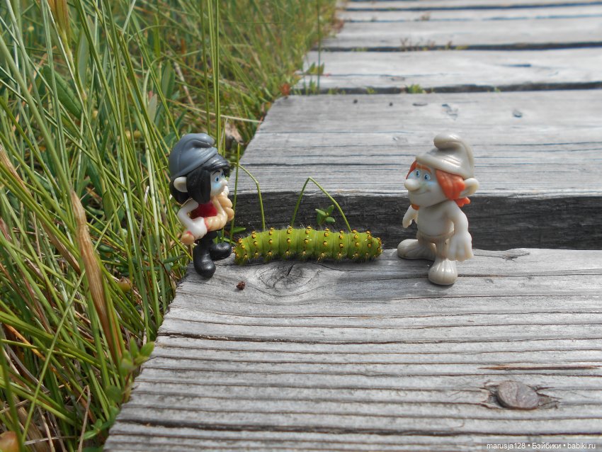 Украденные свадебные подарки, путешествие и розовый песок