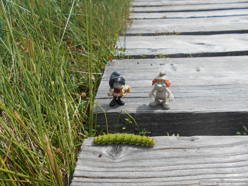 Украденные свадебные подарки, путешествие и розовый песок (фото 10)