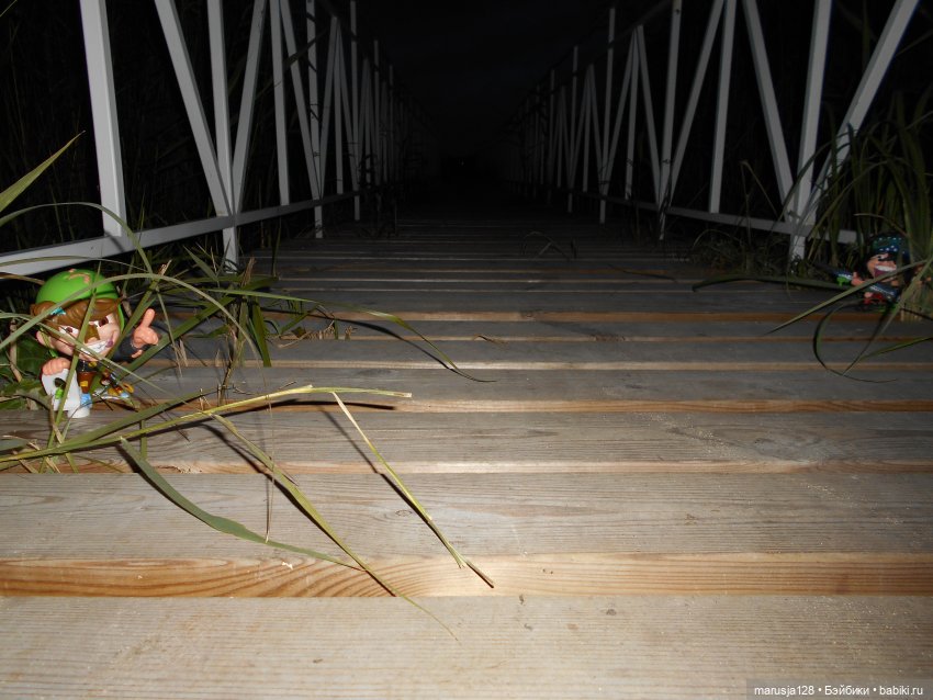 Димон и Даниэль — Интересные игрушки и фигурки (разное): редкие (фото 5)