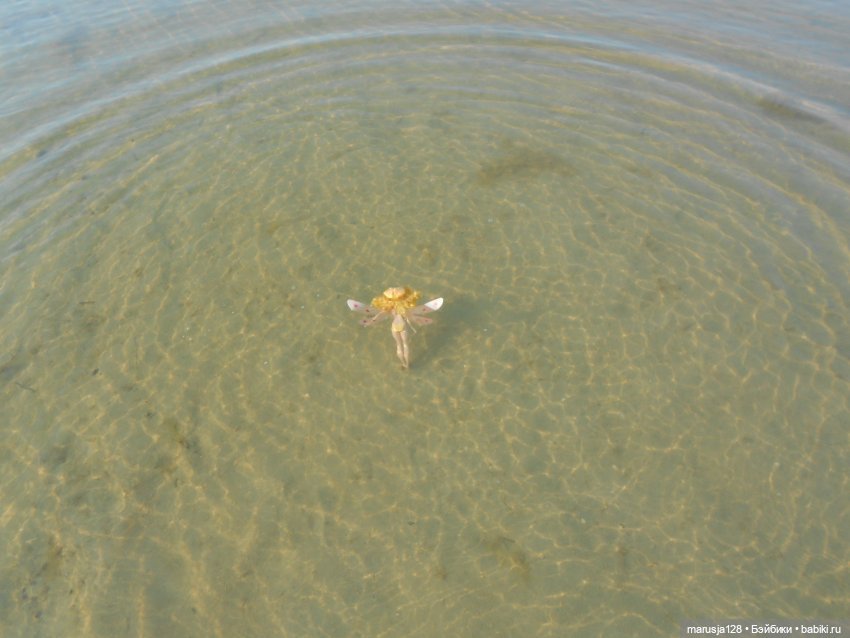 Двойняшки: дети чёрта и феи