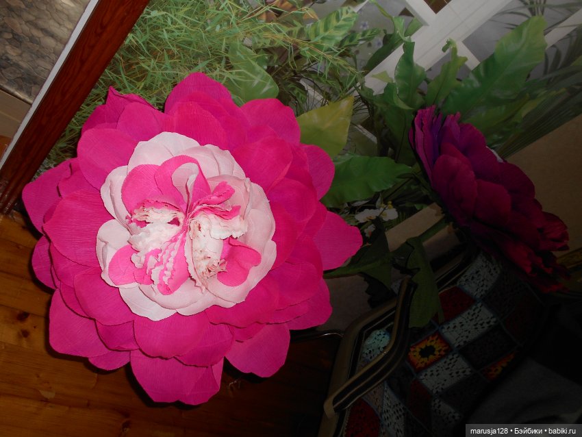 Топик больших красивых кукол